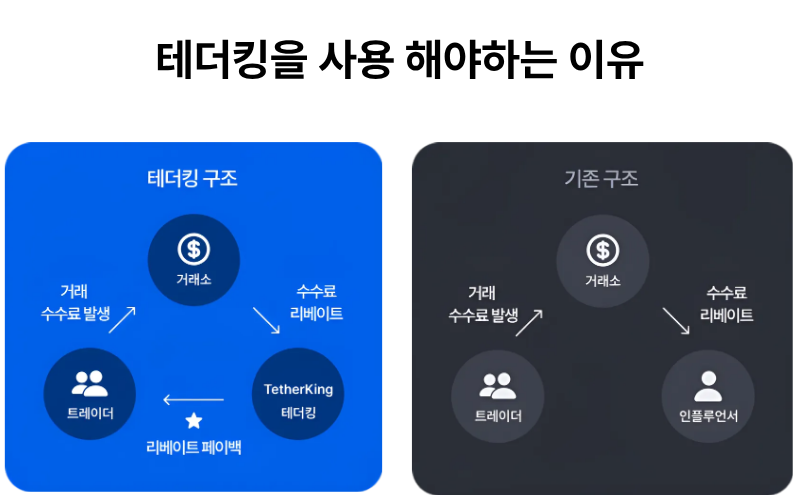 메인 하단 이미지 2